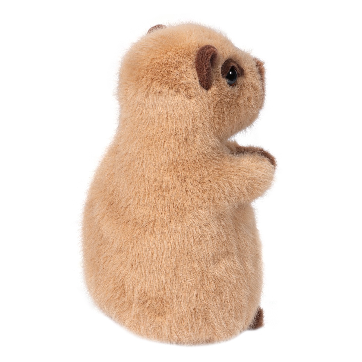 Toutou Mini Chattie Capybara doux - Douglas – Image 3